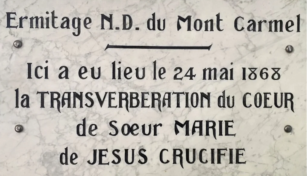 Plaque of Transverberation of the heart
